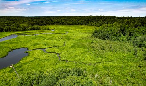 Photo #45 of Off Tidewater Trail, Caret, VA 115.1 acres