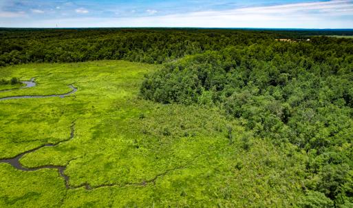 Photo #46 of Off Tidewater Trail, Caret, VA 115.1 acres
