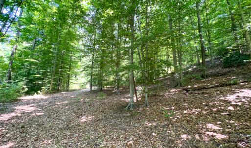 Photo #47 of Off Tidewater Trail, Caret, VA 115.1 acres