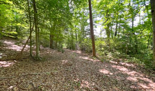 Photo #48 of Off Tidewater Trail, Caret, VA 115.1 acres