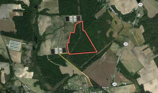 Photo #1 of SOLD property in Off Quinn Farm Lane, Clinton, NC 48.2 acres