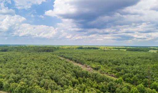 Photo #2 of SOLD property in Off Quinn Farm Lane, Clinton, NC 48.2 acres