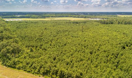 Photo #11 of SOLD property in Off Quinn Farm Lane, Clinton, NC 48.2 acres