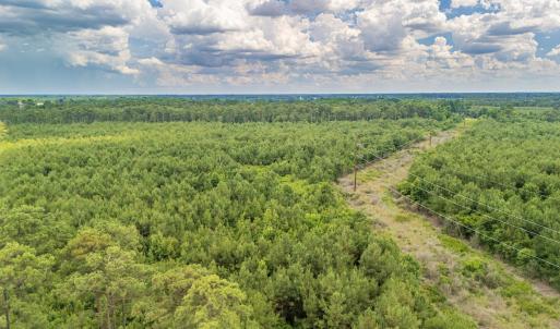 Photo #12 of SOLD property in Off Quinn Farm Lane, Clinton, NC 48.2 acres
