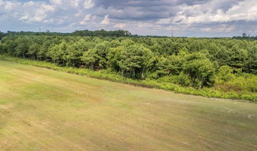Photo #13 of SOLD property in Off Quinn Farm Lane, Clinton, NC 48.2 acres