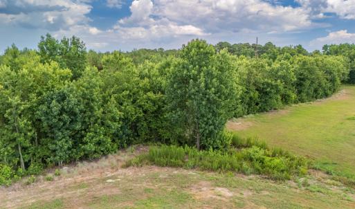 Photo #14 of SOLD property in Off Quinn Farm Lane, Clinton, NC 48.2 acres
