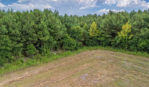 Photo #15 of SOLD property in Off Quinn Farm Lane, Clinton, NC 48.2 acres