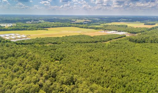 Photo #16 of SOLD property in Off Quinn Farm Lane, Clinton, NC 48.2 acres