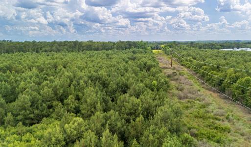 Photo #19 of SOLD property in Off Quinn Farm Lane, Clinton, NC 48.2 acres