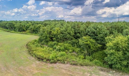 Photo #3 of SOLD property in Off Quinn Farm Lane, Clinton, NC 48.2 acres