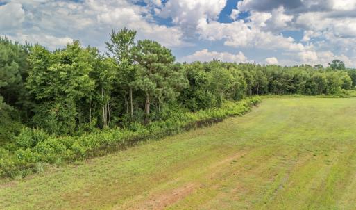Photo #21 of SOLD property in Off Quinn Farm Lane, Clinton, NC 48.2 acres