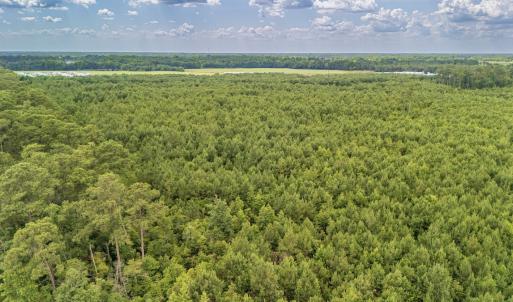 Photo #22 of SOLD property in Off Quinn Farm Lane, Clinton, NC 48.2 acres