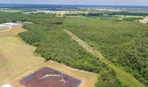 Photo #24 of SOLD property in Off Quinn Farm Lane, Clinton, NC 48.2 acres
