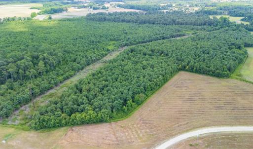 Photo #4 of SOLD property in Off Quinn Farm Lane, Clinton, NC 48.2 acres