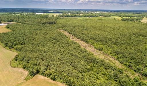 Photo #5 of SOLD property in Off Quinn Farm Lane, Clinton, NC 48.2 acres