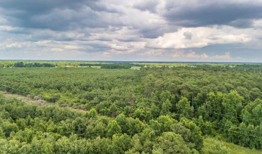 Photo #6 of SOLD property in Off Quinn Farm Lane, Clinton, NC 48.2 acres