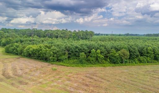 Photo #7 of SOLD property in Off Quinn Farm Lane, Clinton, NC 48.2 acres