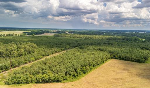 Photo #8 of SOLD property in Off Quinn Farm Lane, Clinton, NC 48.2 acres
