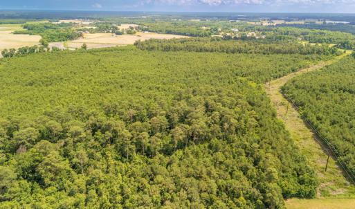 Photo #9 of SOLD property in Off Quinn Farm Lane, Clinton, NC 48.2 acres
