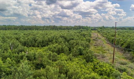 Photo #10 of SOLD property in Off Quinn Farm Lane, Clinton, NC 48.2 acres