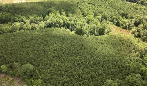 Photo #11 of SOLD property in 11 Peachtree Hills Road, Spring Hope, NC 20.0 acres