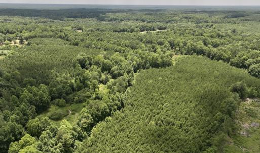 Photo #13 of SOLD property in 11 Peachtree Hills Road, Spring Hope, NC 20.0 acres