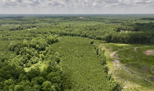 Photo #14 of SOLD property in 11 Peachtree Hills Road, Spring Hope, NC 20.0 acres