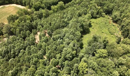 Photo #17 of SOLD property in 11 Peachtree Hills Road, Spring Hope, NC 20.0 acres