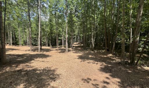 Photo #24 of SOLD property in 11 Peachtree Hills Road, Spring Hope, NC 20.0 acres