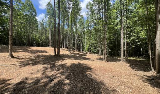 Photo #25 of SOLD property in 11 Peachtree Hills Road, Spring Hope, NC 20.0 acres