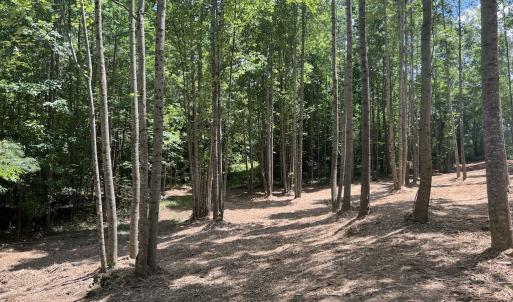 Photo #26 of SOLD property in 11 Peachtree Hills Road, Spring Hope, NC 20.0 acres
