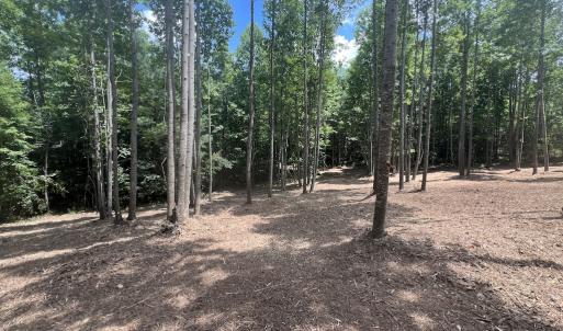 Photo #28 of SOLD property in 11 Peachtree Hills Road, Spring Hope, NC 20.0 acres