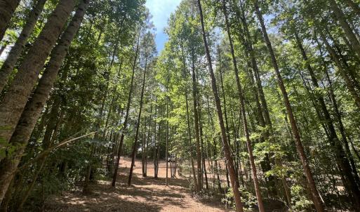 Photo #30 of SOLD property in 11 Peachtree Hills Road, Spring Hope, NC 20.0 acres