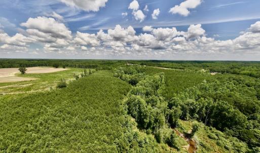 Photo #4 of SOLD property in 11 Peachtree Hills Road, Spring Hope, NC 20.0 acres