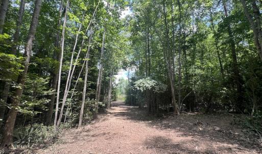 Photo #31 of SOLD property in 11 Peachtree Hills Road, Spring Hope, NC 20.0 acres