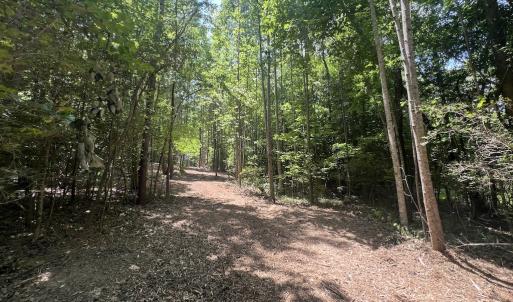 Photo #32 of SOLD property in 11 Peachtree Hills Road, Spring Hope, NC 20.0 acres