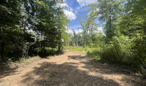 Photo #33 of SOLD property in 11 Peachtree Hills Road, Spring Hope, NC 20.0 acres
