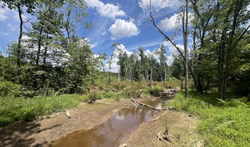 Photo #34 of SOLD property in 11 Peachtree Hills Road, Spring Hope, NC 20.0 acres