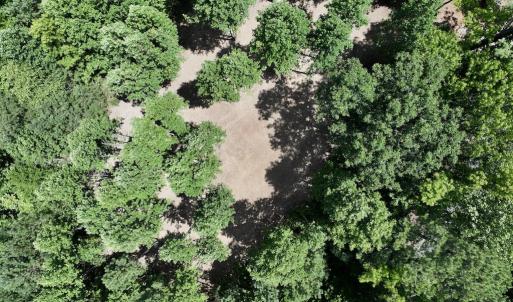 Photo #8 of SOLD property in 11 Peachtree Hills Road, Spring Hope, NC 20.0 acres