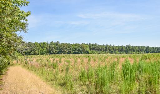 Photo #11 of SOLD property in Off Courthouse Rd, Stony Creek, VA 25.4 acres