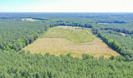 Photo #12 of SOLD property in Off Courthouse Rd, Stony Creek, VA 25.4 acres