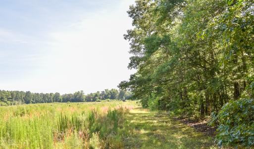 Photo #14 of SOLD property in Off Courthouse Rd, Stony Creek, VA 25.4 acres