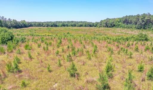 Photo #3 of SOLD property in Off Courthouse Rd, Stony Creek, VA 25.4 acres