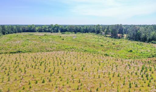 Photo #6 of SOLD property in Off Courthouse Rd, Stony Creek, VA 25.4 acres