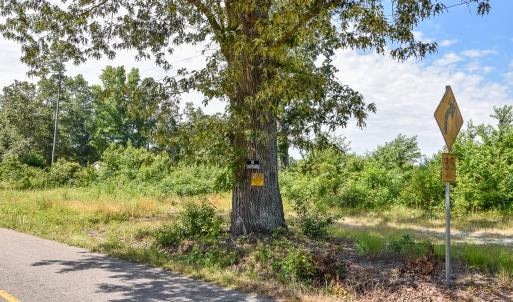 Photo #7 of SOLD property in Off Courthouse Rd, Stony Creek, VA 25.4 acres