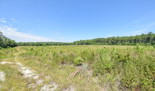 Photo #8 of SOLD property in Off Courthouse Rd, Stony Creek, VA 25.4 acres