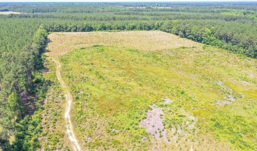 Photo #9 of SOLD property in Off Courthouse Rd, Stony Creek, VA 25.4 acres