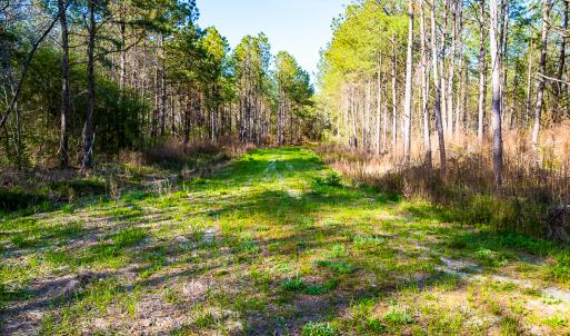 Photo #21 of SOLD property in 2729 McNeill Hobbs Rd, Bunnlevel, NC 64.6 acres
