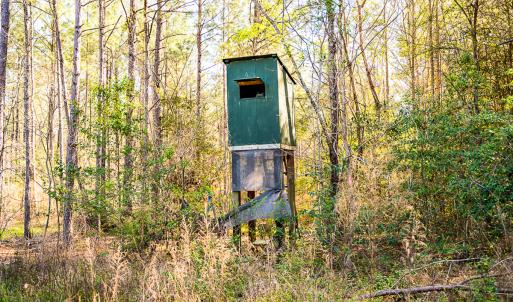 Photo #25 of SOLD property in 2729 McNeill Hobbs Rd, Bunnlevel, NC 64.6 acres