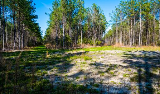Photo #26 of SOLD property in 2729 McNeill Hobbs Rd, Bunnlevel, NC 64.6 acres